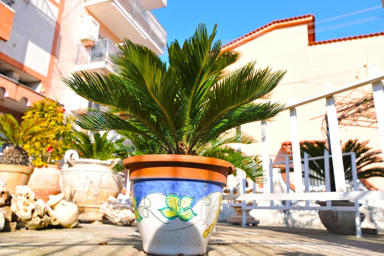 B&B Le Cycas カステッランマーレ・ディ・スタービア エクステリア 写真