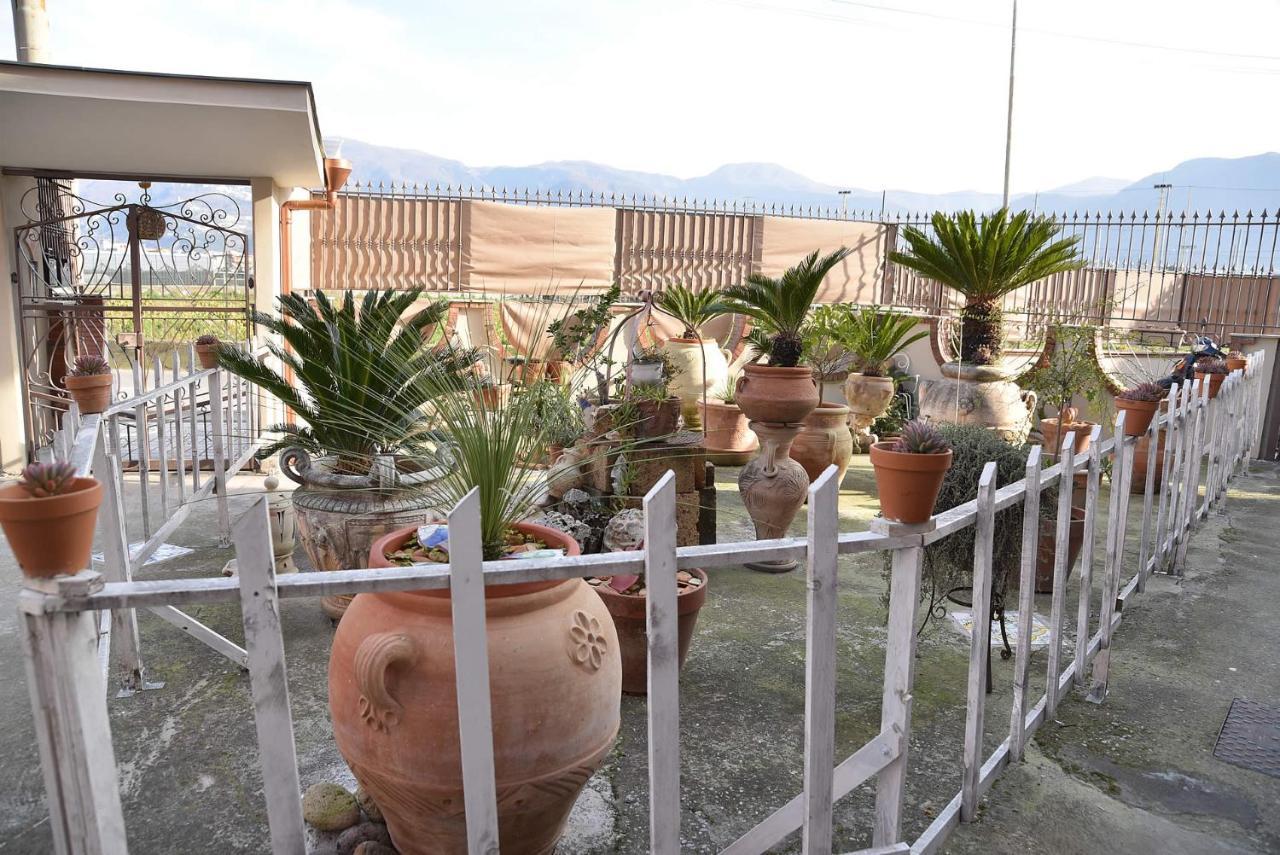 B&B Le Cycas カステッランマーレ・ディ・スタービア エクステリア 写真