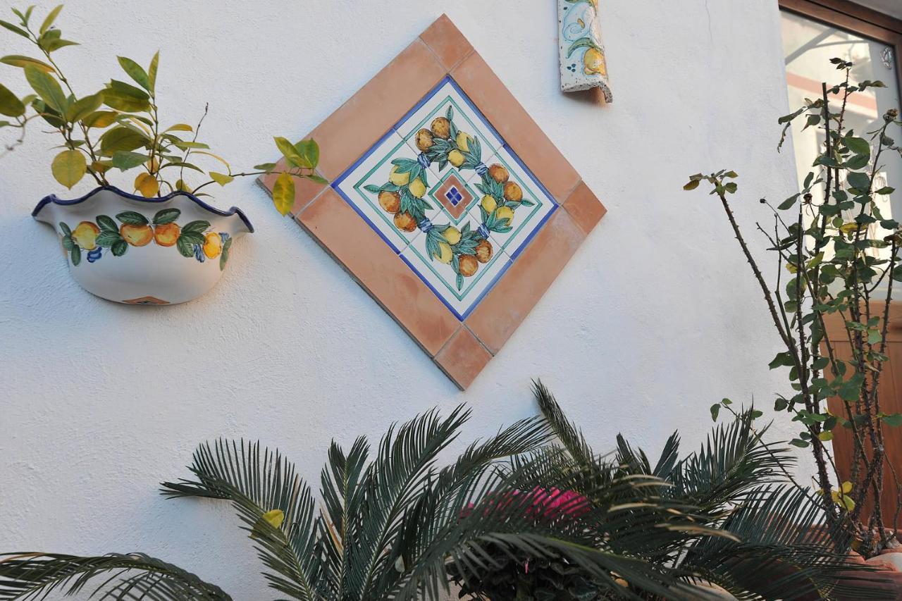 B&B Le Cycas カステッランマーレ・ディ・スタービア エクステリア 写真